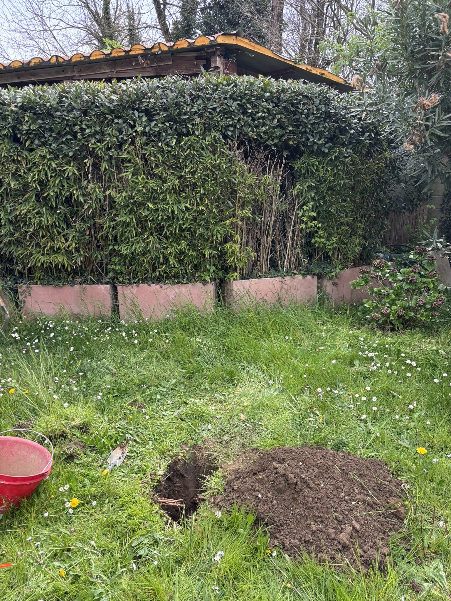 Via Antonini 20 — Milano: Indagine ambientale integrativa e analisi di rischio delle acque di falda (foto 2 di 2)