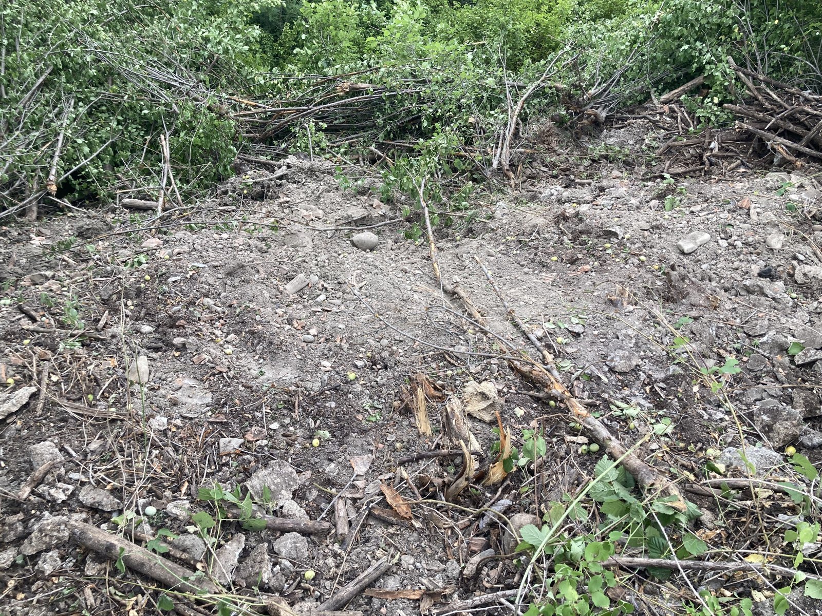 Ecogomma — Castelletto di Branduzzo (PV): Bonifica dei terreni e rimozione di un serbatoio interrato nell'ex sito industriale