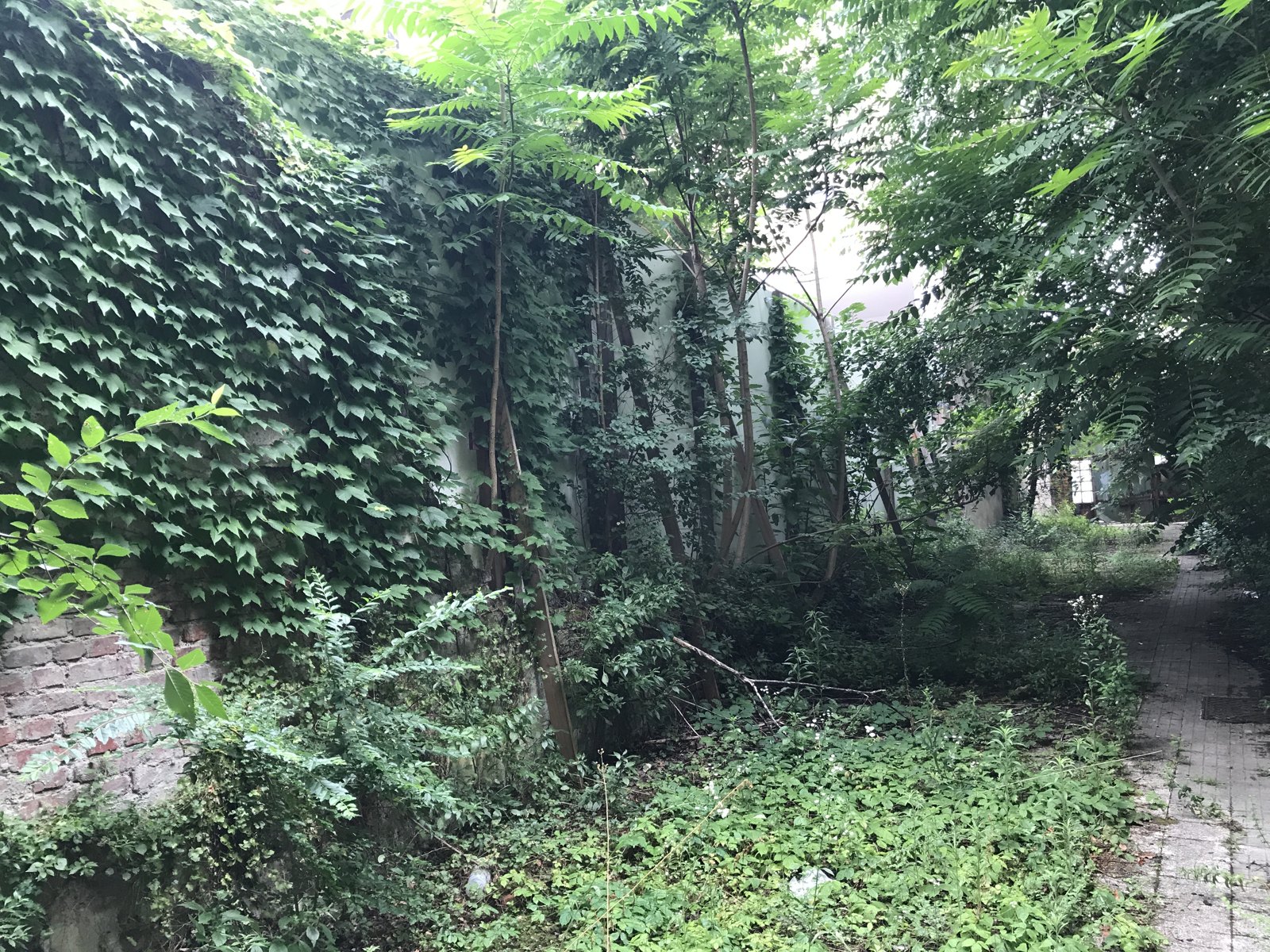 Via Vivarini 5 — Milano: Progetto Operativo di Bonifica dei terreni a seguito delle demolizioni