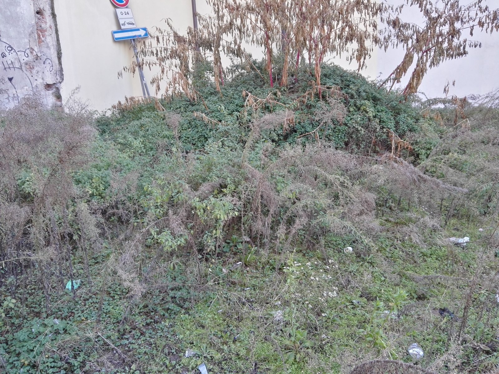 Area Ripa Porta Ticinese-Barsanti-Autari — Milano: Rapporto ambientale preliminare per la VAS del Programma Integrato d'Intervento (foto 2 di 2)
